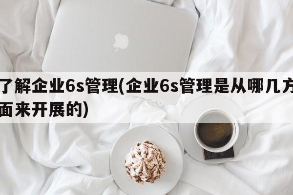 了解企业6s管理(企业6s管理是从哪几方面来开展的)